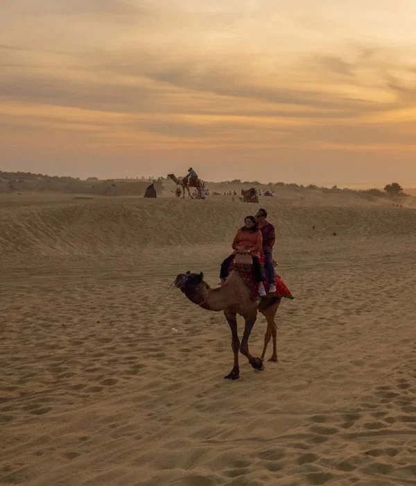 Camel Safari Jaisalmer